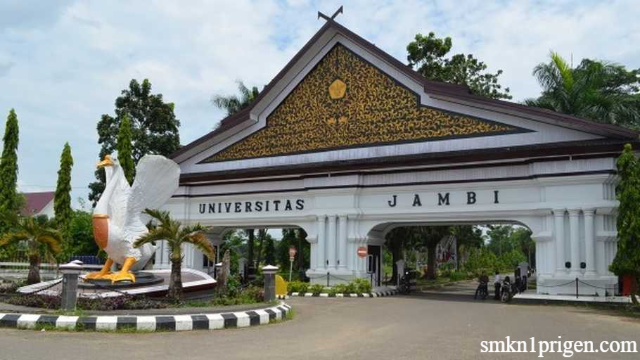 Daftar Kampus Kualitas Terbaik di Provinsi Jambi