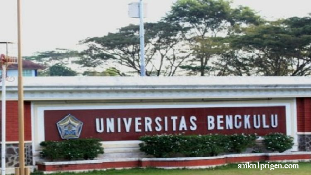 Inilah Rekomendasi Daftar Universitas Terbaik Di Bengkulu